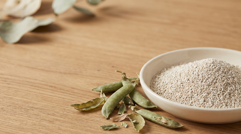 Pea Husk Cat Litter: What It Is, How It Performs, and How It Compares