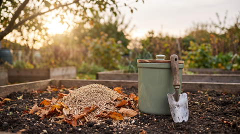 Is Cat Litter Compostable? A Straight Answer for Canadian Households