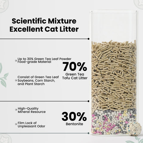 Walnut Cat Litter vs Tofu Cat Litter: Which Is Better? (Canada Guide)