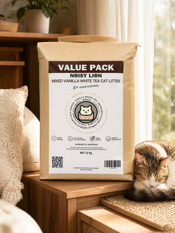 Noisy Lion vs Ecocat plant-based cat litter comparison