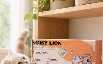 Noisy Lion cat litter in a small styled apartment — best litter for Canadian condos and apartments