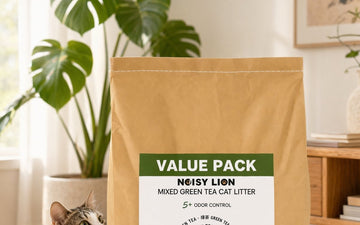 Best plant-based cat litter in Canada 2026 — Noisy Lion green tea tofu litter buyer's guide