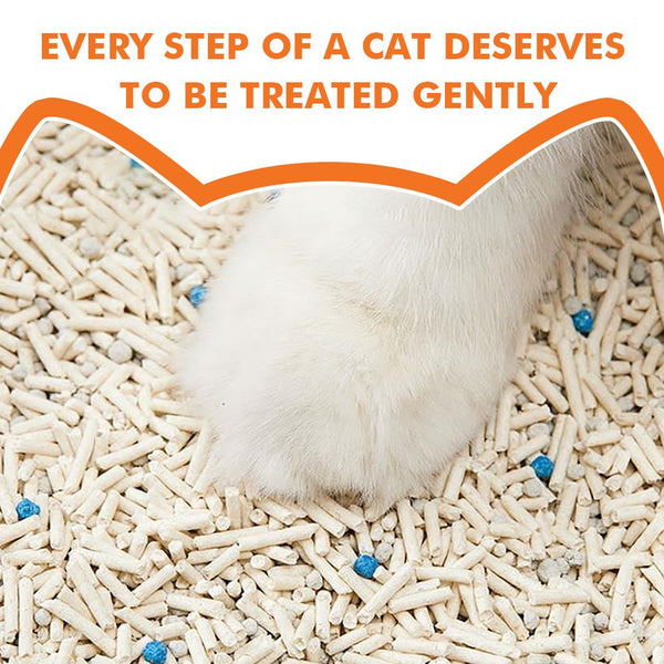 Noisy Lion 99.9% dust-free plant-based tofu cat litter poured with almost no dust cloud