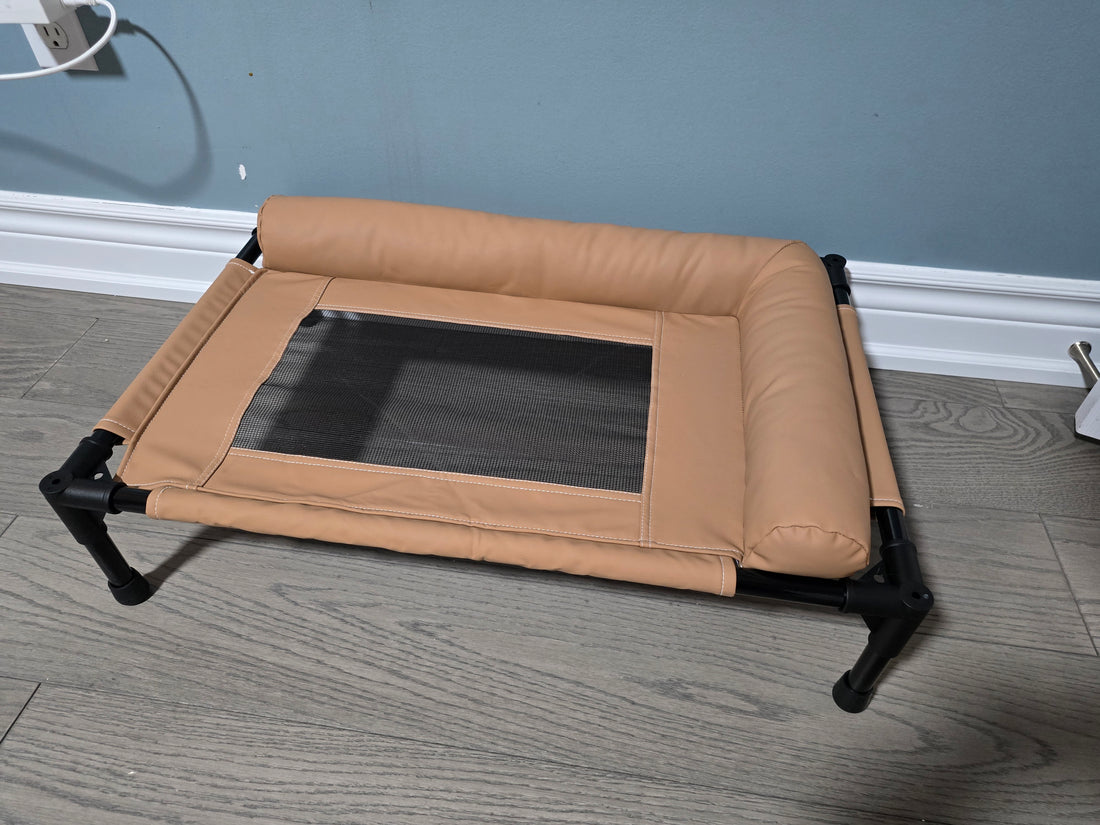 Noisy Lion cat bed
