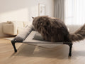 Cat climbing onto the grey Breeze Cot by a sunlit window