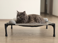 Cat lying on the Breeze Cot in grey fabric