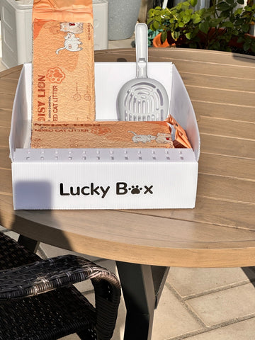 Noisy Lion fold-flat recyclable travel litter box, front view