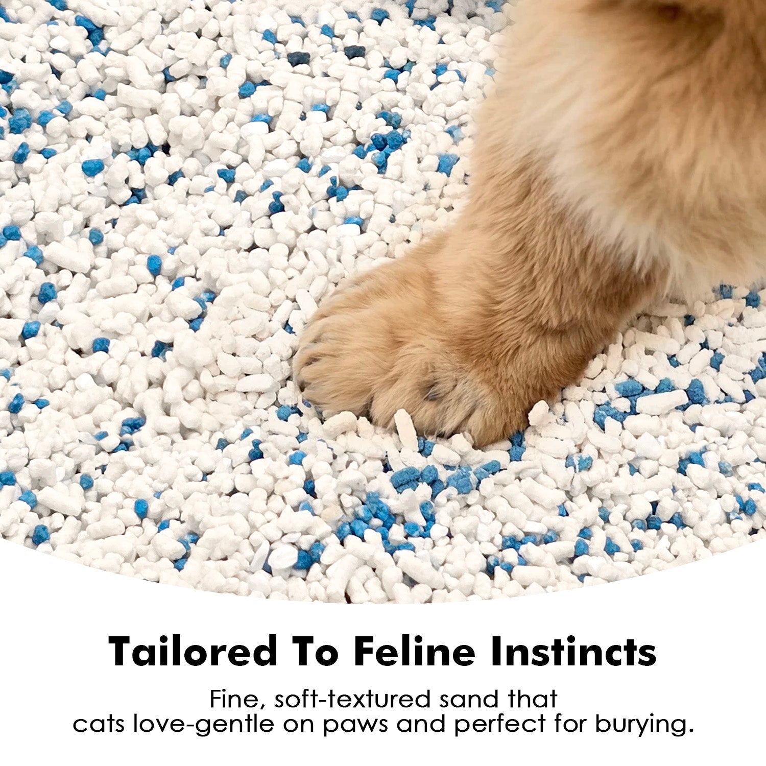 Vanilla White Tea Tofu Cat Litter Cubic Pack - Noisylion