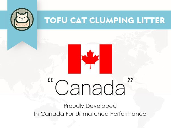 Vanilla White Tea Tofu Cat Litter Cubic Pack - Noisylion