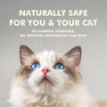 Vanilla White Tea Tofu Cat Litter Cubic Pack - Noisylion