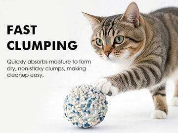 Vanilla White Tea Tofu Cat Litter Cubic Pack - Noisylion