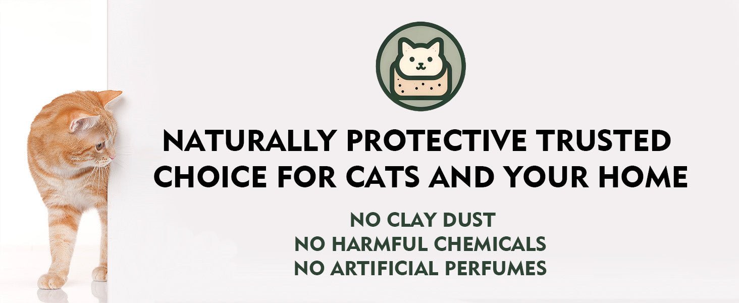 Vanilla White Tea Tofu Cat Litter Cubic Pack - Noisylion